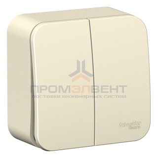 Выключатель 2-клавишный (cх.5) Blanca Schneider Electric 6А 250В молочный